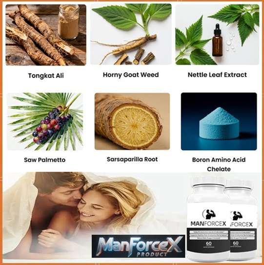 ManForceX Ingredients